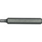 Teng 12mm Hex Dr. 12mm Hex Cr-V Bit / L75mm