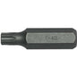 Teng 10mm Hex Dr. TX40 Cr-V Bit / L40mm