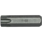 Teng 10mm Hex Dr. Tx55 Cr-V Bit / L40mm