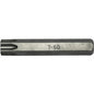 Teng 12mm Hex Dr. Tx60 Cr-V Bit / L75mm