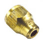Champion 1/4in Brass Flare Nut (BP)****