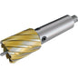 Holemaker Extension Arbor 25mm To Suit 6mm Pilot Pin