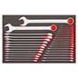 Teng 31pc Metric Combination Spanner Set (EVA)