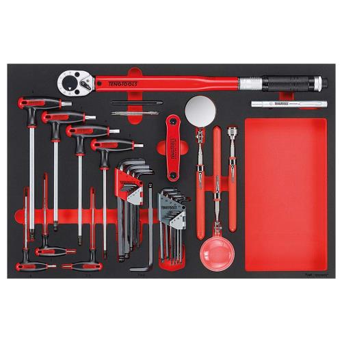 Teng 17pc Torque Wrench Hex/TX & insp Tool Set (EVA)