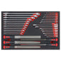 Teng 32pc Roe Spanner (Std & Rat) & File Set (EVA)