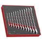 Teng 12pc Ratchet Combination Spanner Set 8-19mm - TED-Tray