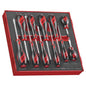 Teng 11pc MD Screwdriver Set - TED-Tray