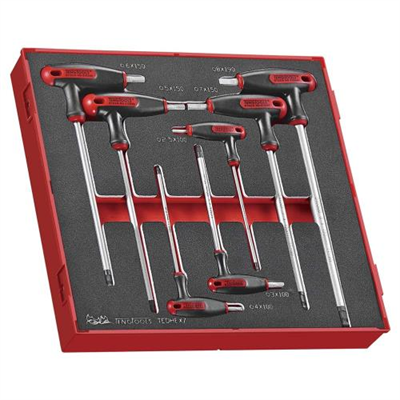 Teng 7pc T-Handle Hex Set 2.5-8mm - TED-Tray