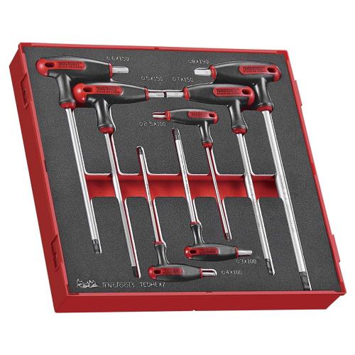 Teng 7pc T-Handle Hex Set 2.5-8mm - TED-Tray