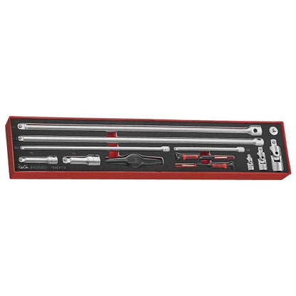 Teng 13pc 1/4-3/8-1/2in Dr. Ext Bar & Acc Set-TEX-Tray