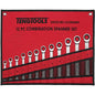 Teng 12pc Ratchet (Flat Type) Metric Spanner Set 8-19mm