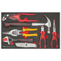 Teng 7pc Plier And Hammer Set (EVA)