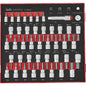 Teng 47pc 1/4in & 3/8in Bit Socket Set EVA2