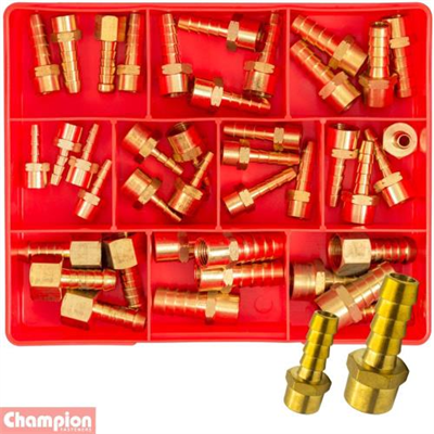 Champion 40pc Female Brass Hose Tail Assortment