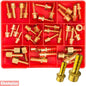 Champion 40pc Female Brass Hose Tail Assortment