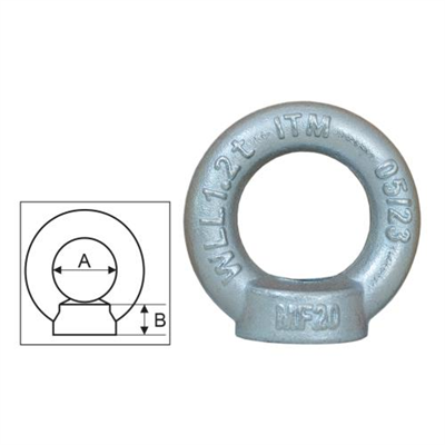 ITM Shouldered Eyenut w/ Metric Thread Din 582-24mm-1.8T
