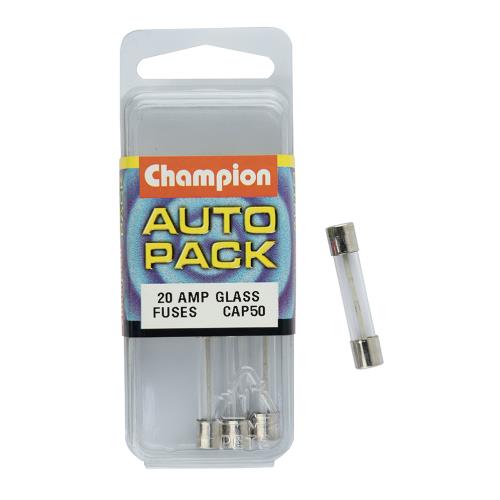 20 Amp Glass Fuses****